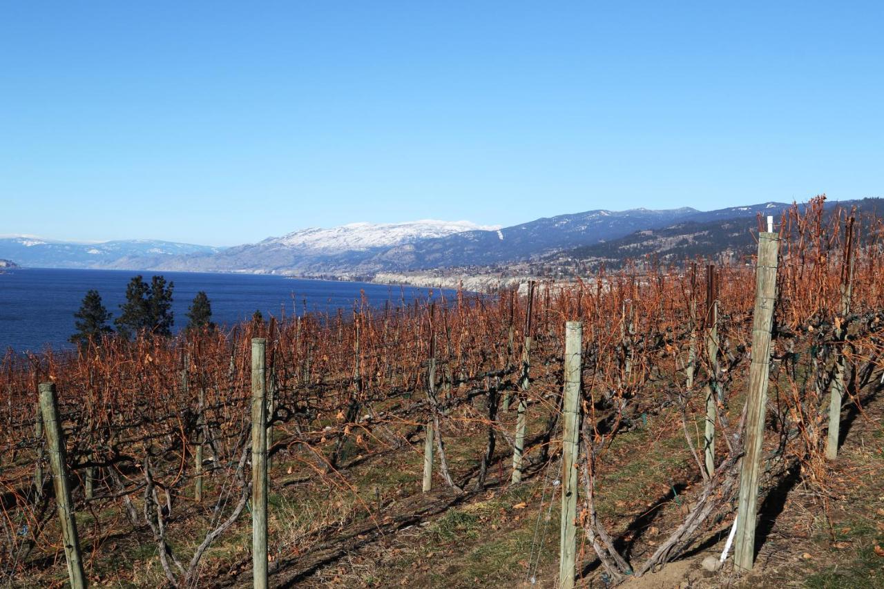 Sunshine And Wine Loft Hotel Penticton Exterior foto