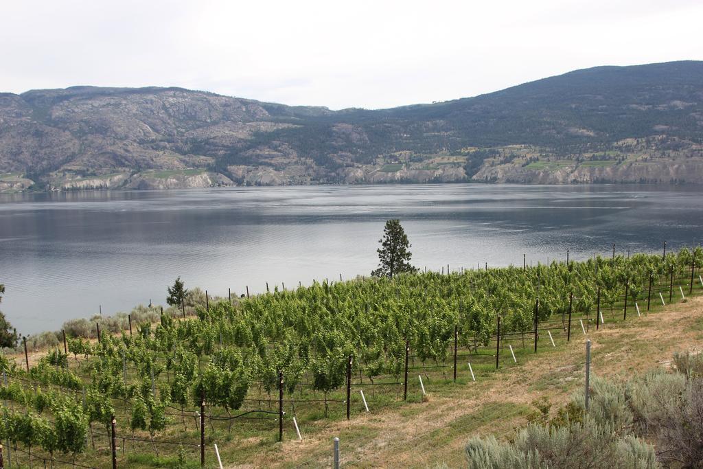Sunshine And Wine Loft Hotel Penticton Exterior foto